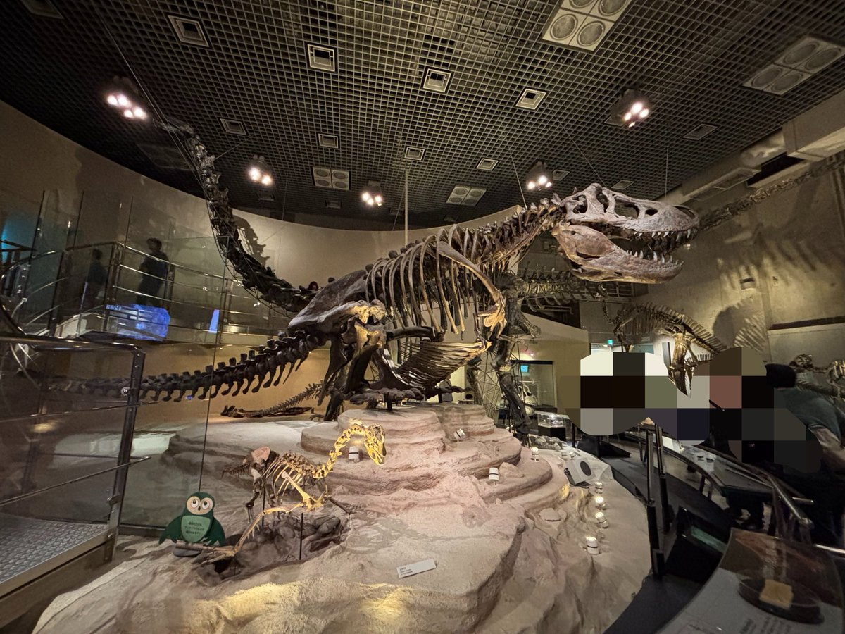 由行藤野@リハと治療中🧵🧶 tweet media