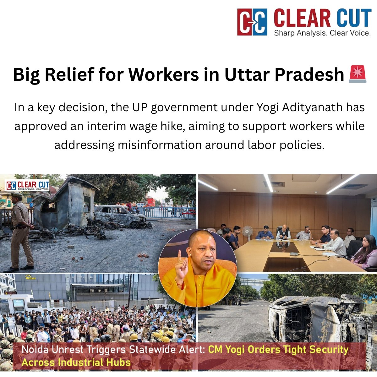 Clear Cut Magazine tweet media