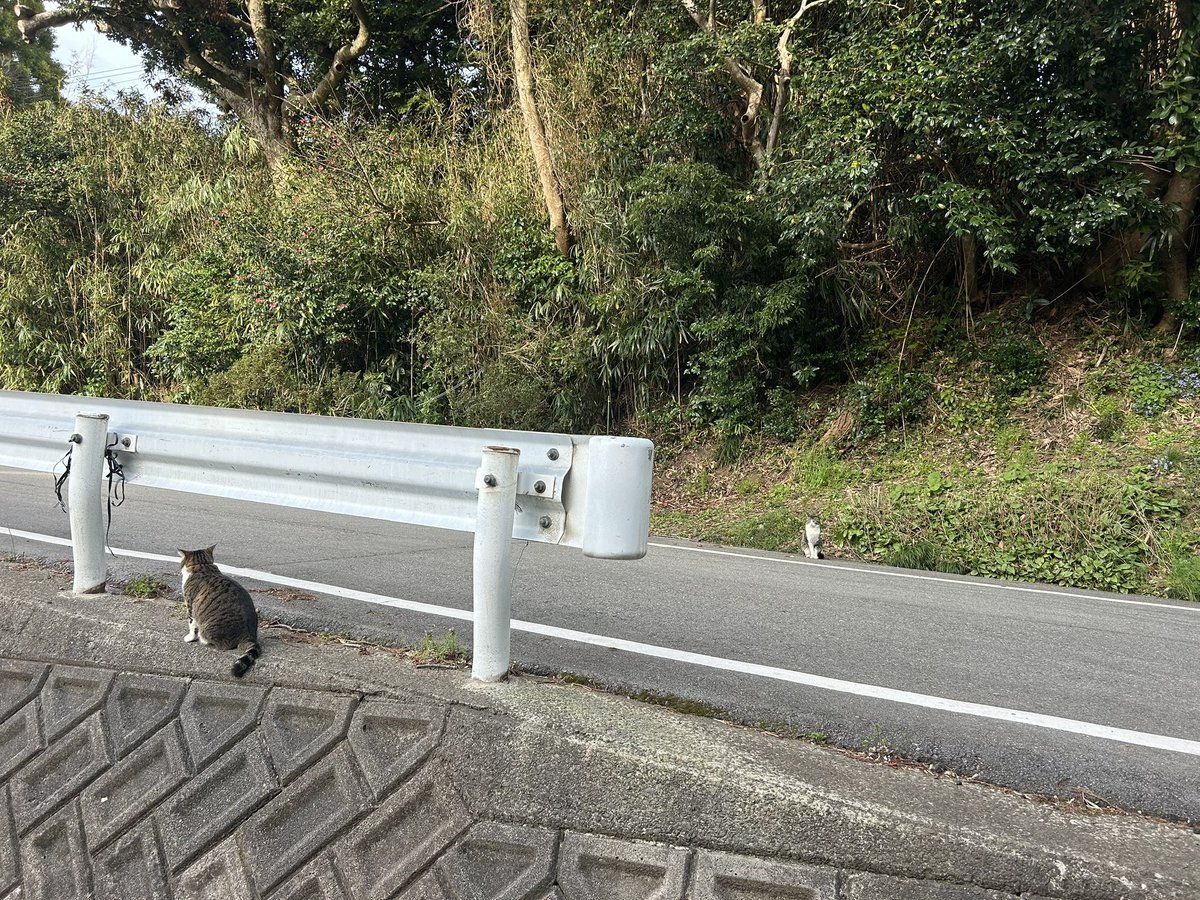 風神　雷神