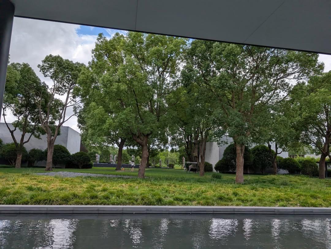 Benson Sun tweet media