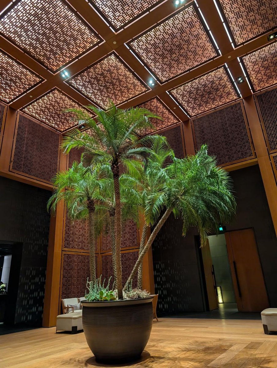 Benson Sun tweet media