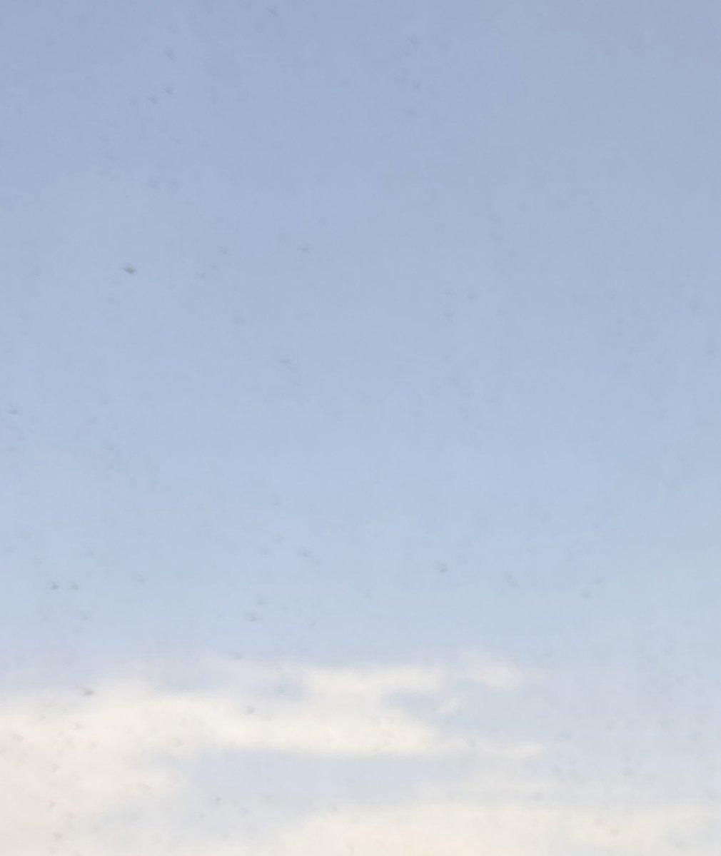 عَازف 💫 ✨ 🎸 tweet media