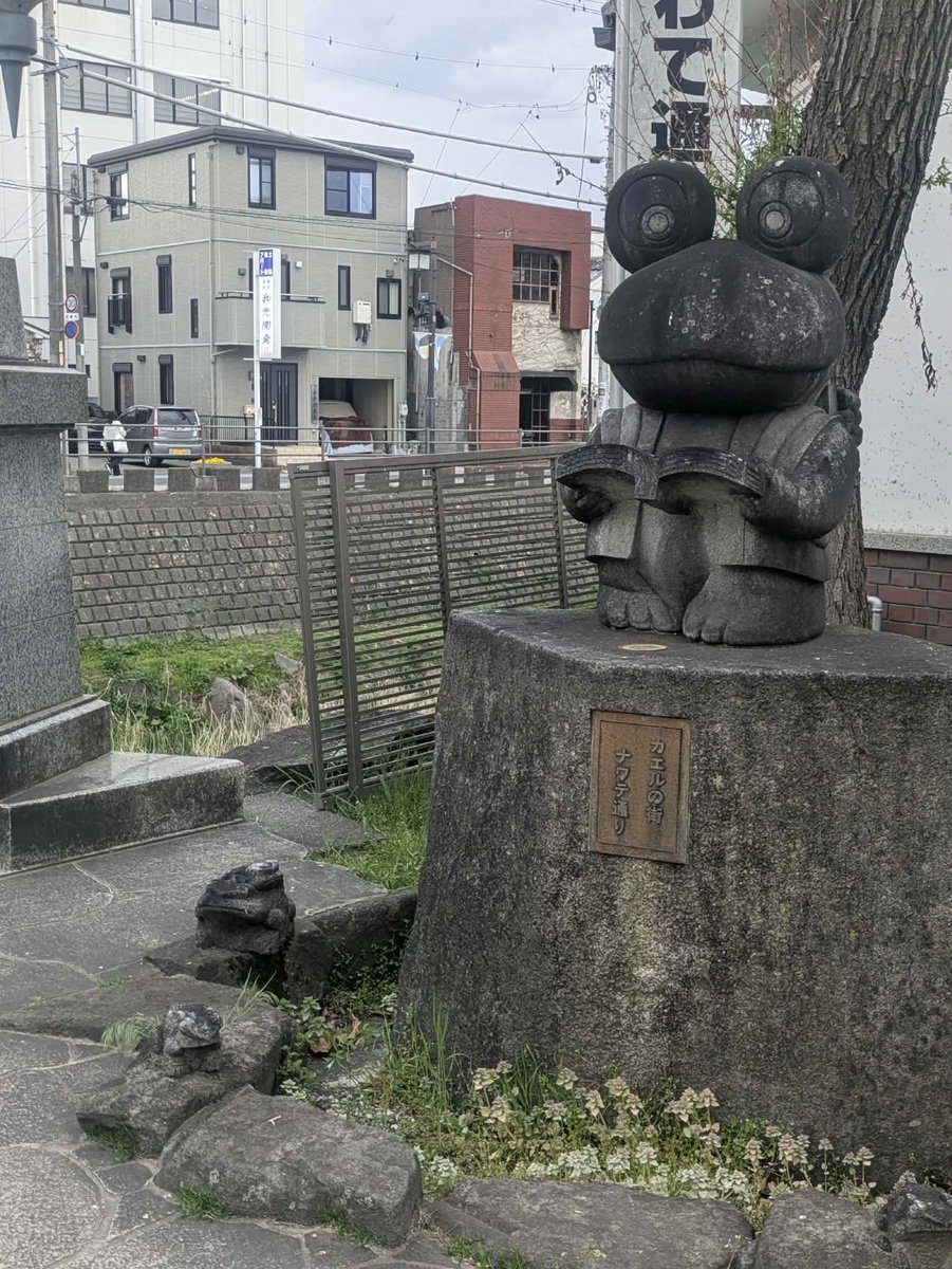 Hannah Lock tweet media