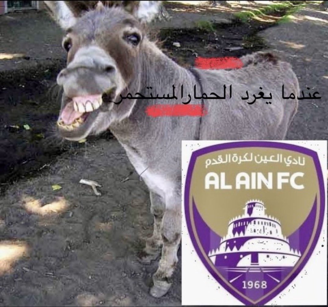 عمر الغامدي tweet media