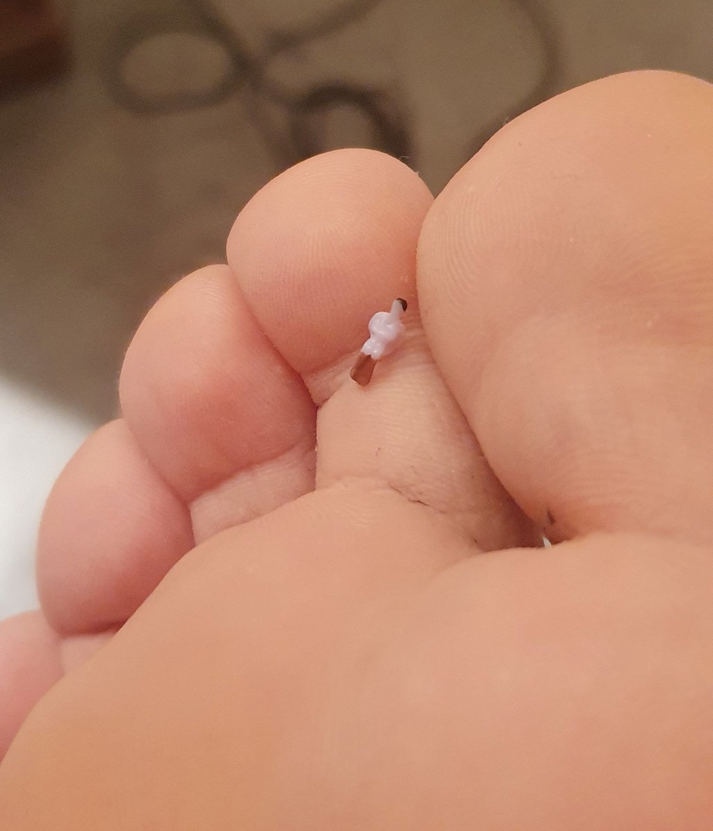 BonkTheTiny's tweet image. Think they'll survive two nights in a row down there? :3c

#size