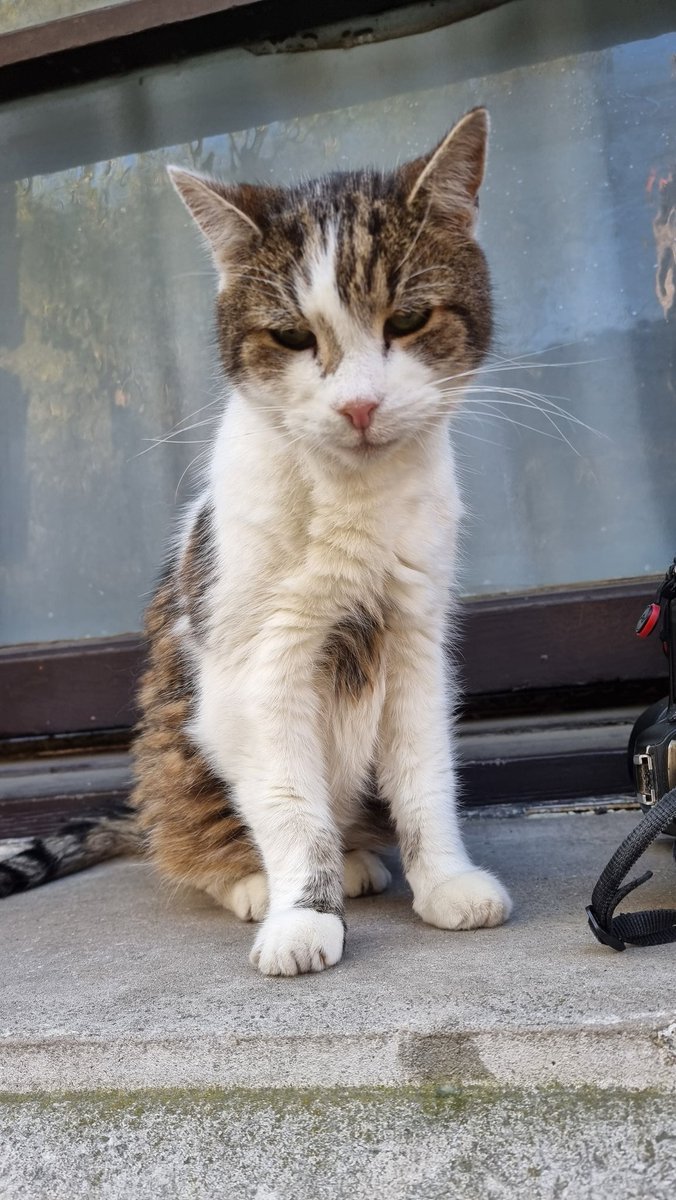 Justin Ng tweet media