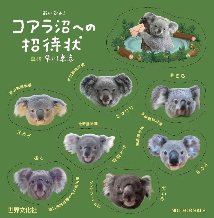 世界文化社の本（出版社）【公式】 tweet media