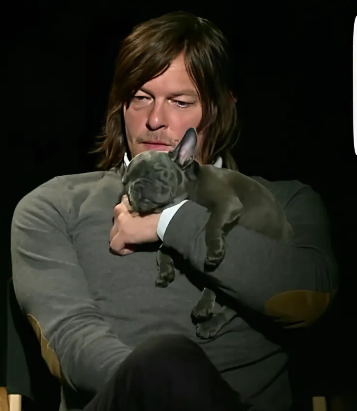 <a href="/wwwbigbaldhead/">norman reedus</a> Norman Reedus... look at this picture with the puppy 😭❤️🥹

Wow, how cute you are holding him like that, looking at him with such affection... and what an incredible beauty, that face, that subtle smile, my God.

I love you so much Norman, I'm speechless. Please