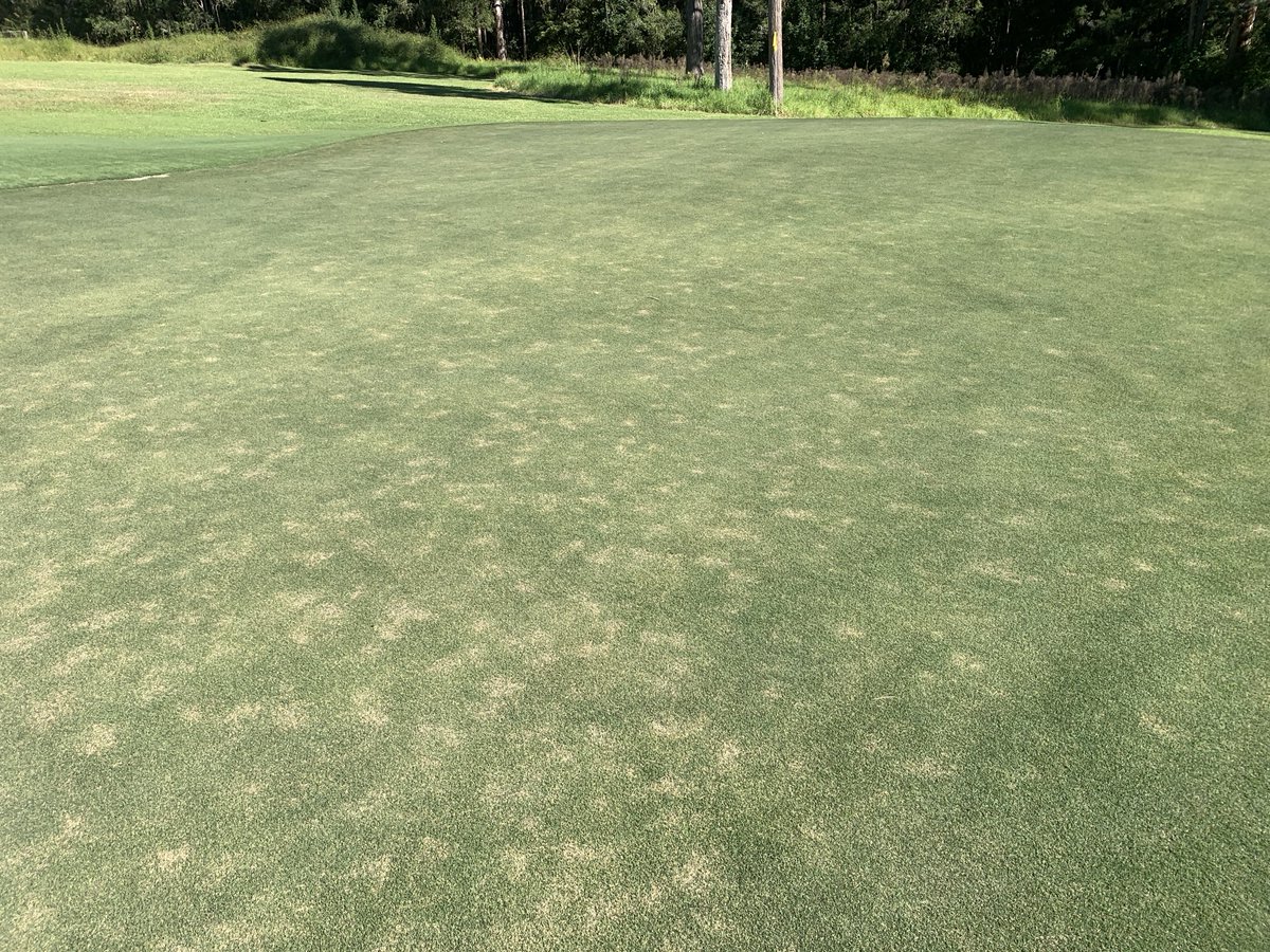 Envu Turf AUS tweet media