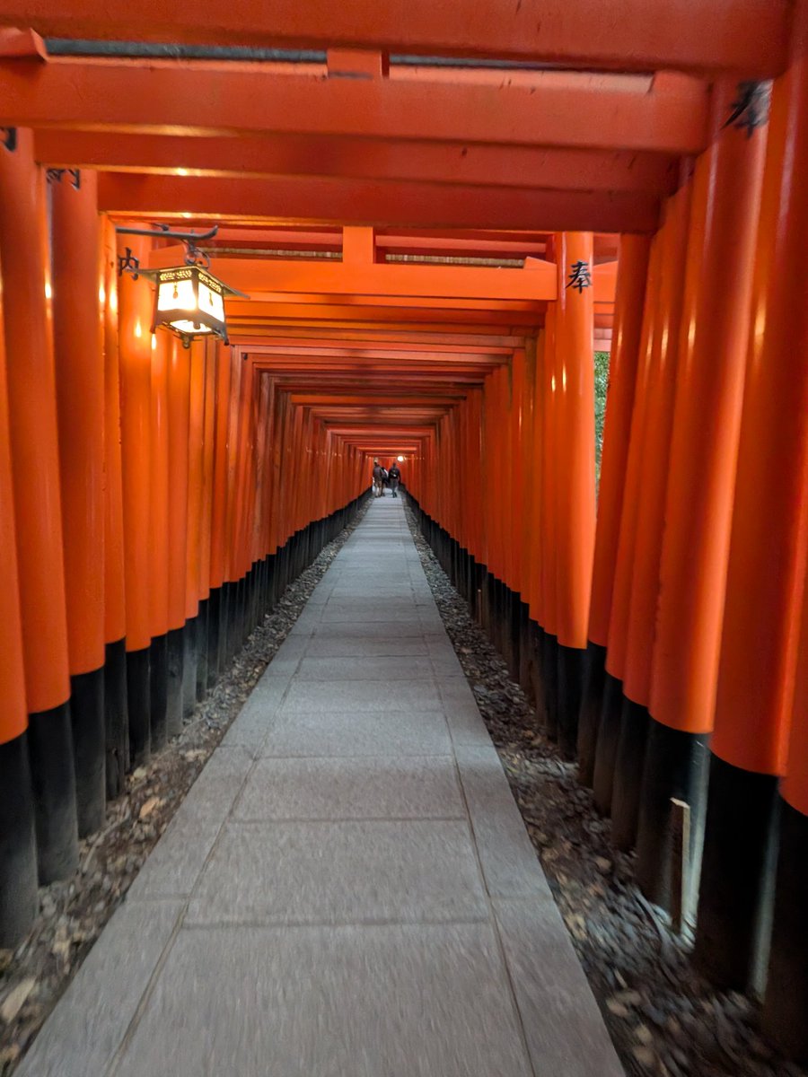 ミノムシ@免許合宿終了🎉🎉 tweet media