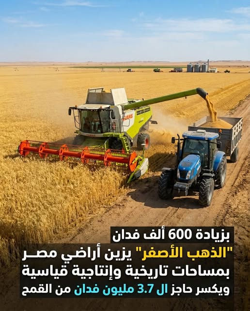 Millad_E5natoun's tweet photo. انطلاق موسم الخير من قلب صحراء الوادي الجديد
بزيادة 600 ألف فدان.. "الذهب الأصفر" القمح 🌾يزين أراضي مصر بمساحات تاريخية وإنتاجية قياسية ويكسر حاجز الـ 3.7 مليون فدان https://t.co/Rnl5FjDSjK