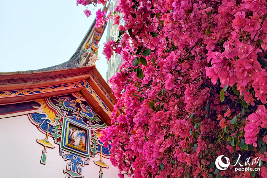 人民日報  People's Daily tweet media