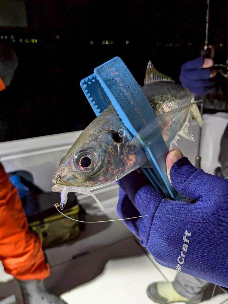 ルアルアチャンネル tweet media