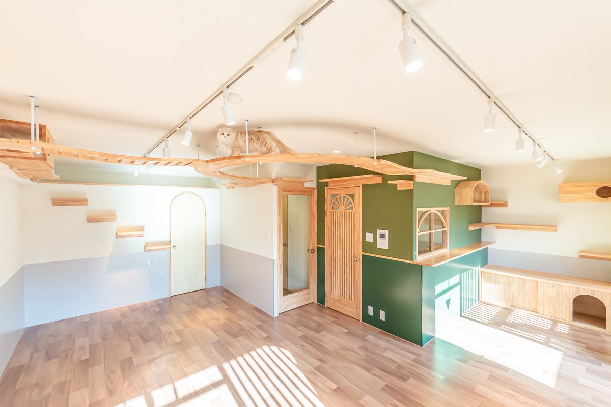 ねこ大家｜猫のための家づくり tweet media