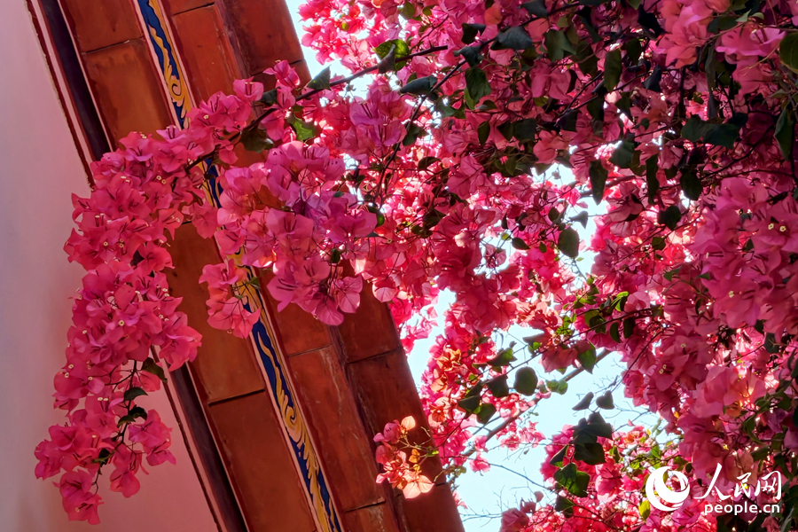 人民日報  People's Daily tweet media