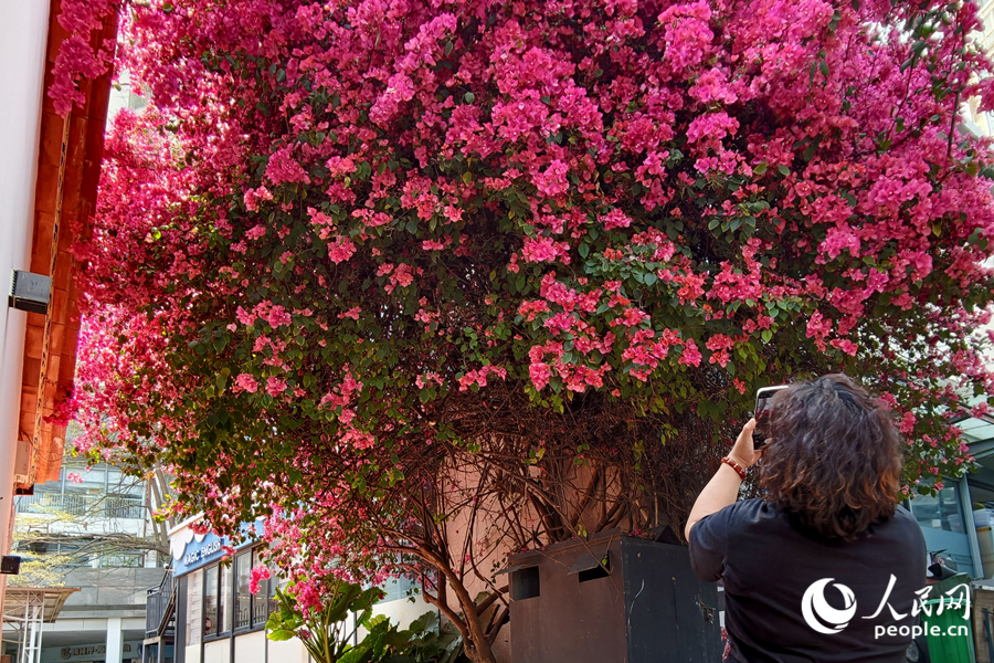 人民日報  People's Daily tweet media