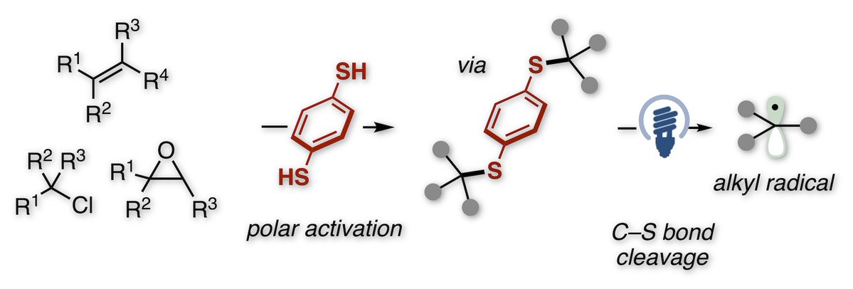 Ohmiya Lab tweet media
