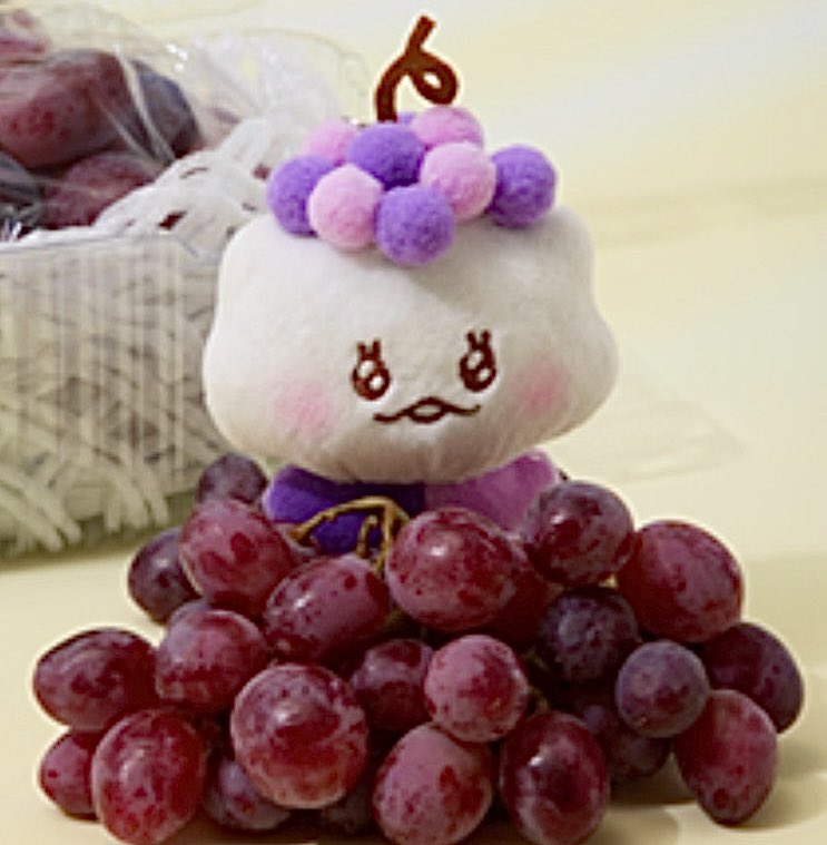 또또해 ₍ᐢ..ᐢ₎⊹ tweet media