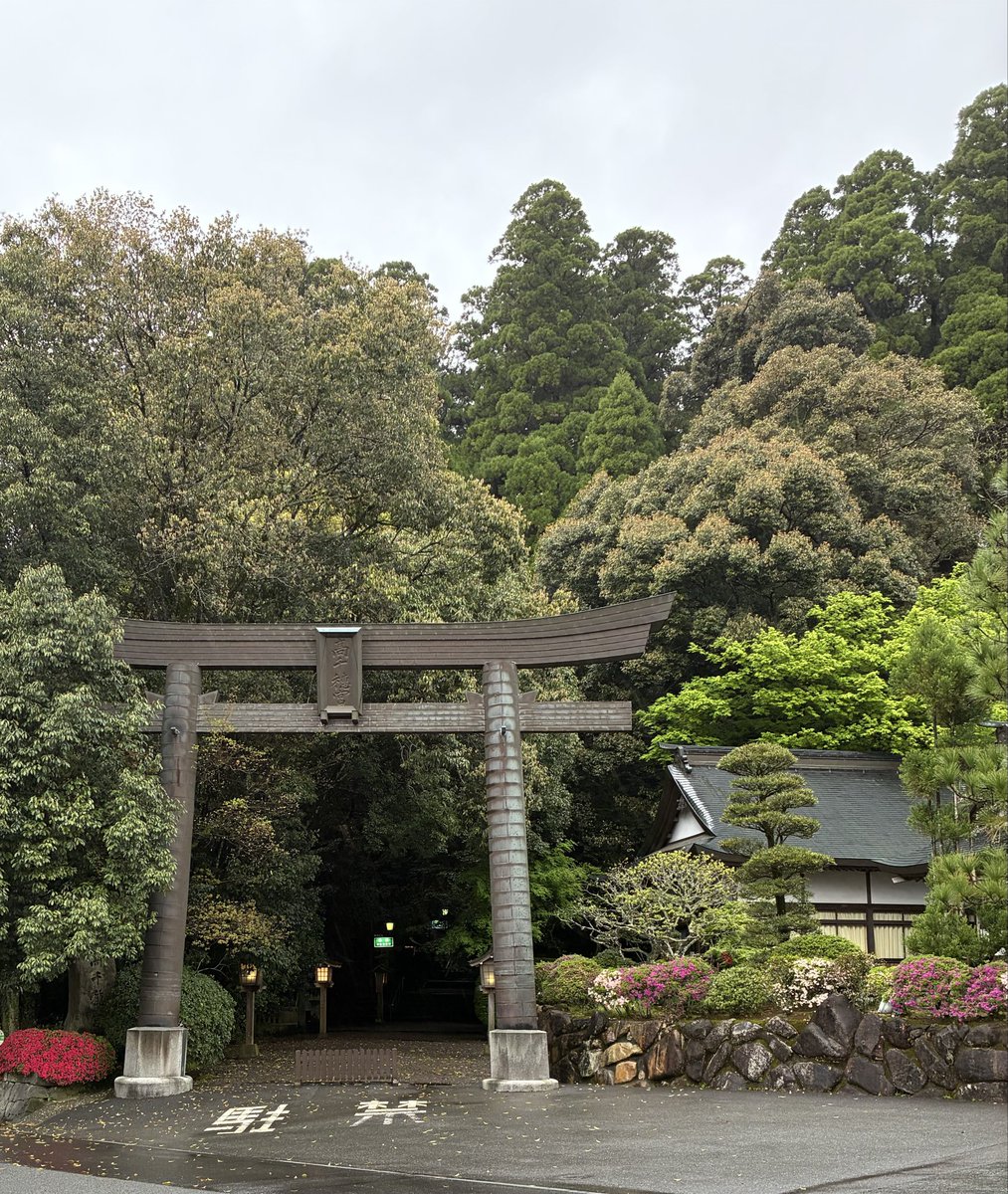 nissy(ใใใ)๐๐ซง tweet media