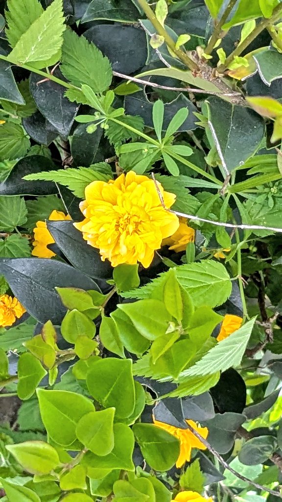 ちいり tweet media