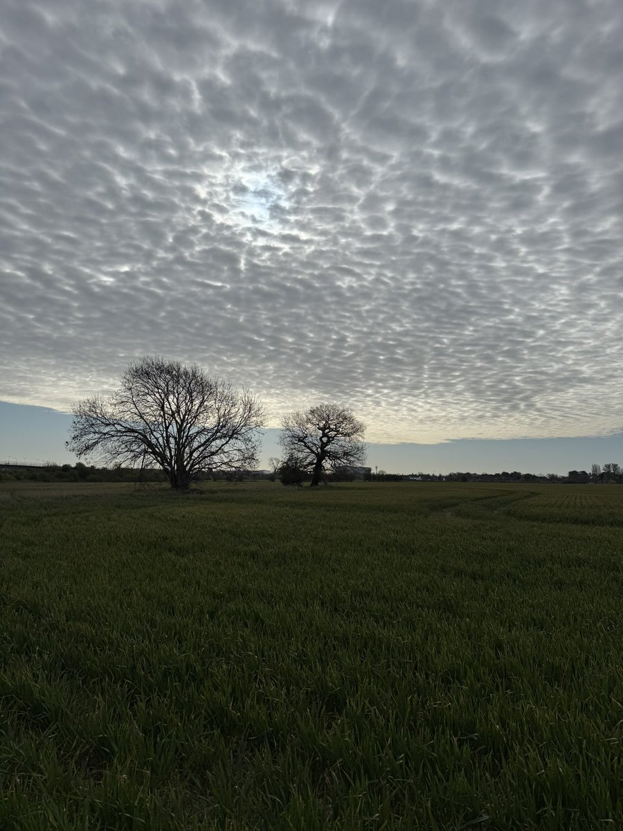 debsodowd's tweet photo. Over Grimsby this morning https://t.co/8U56Y96wRh