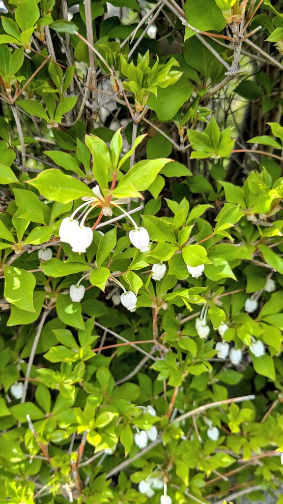 ちいり tweet media