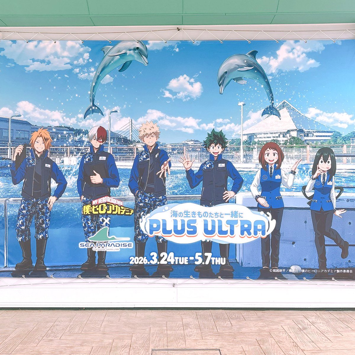 ちょも太 tweet media