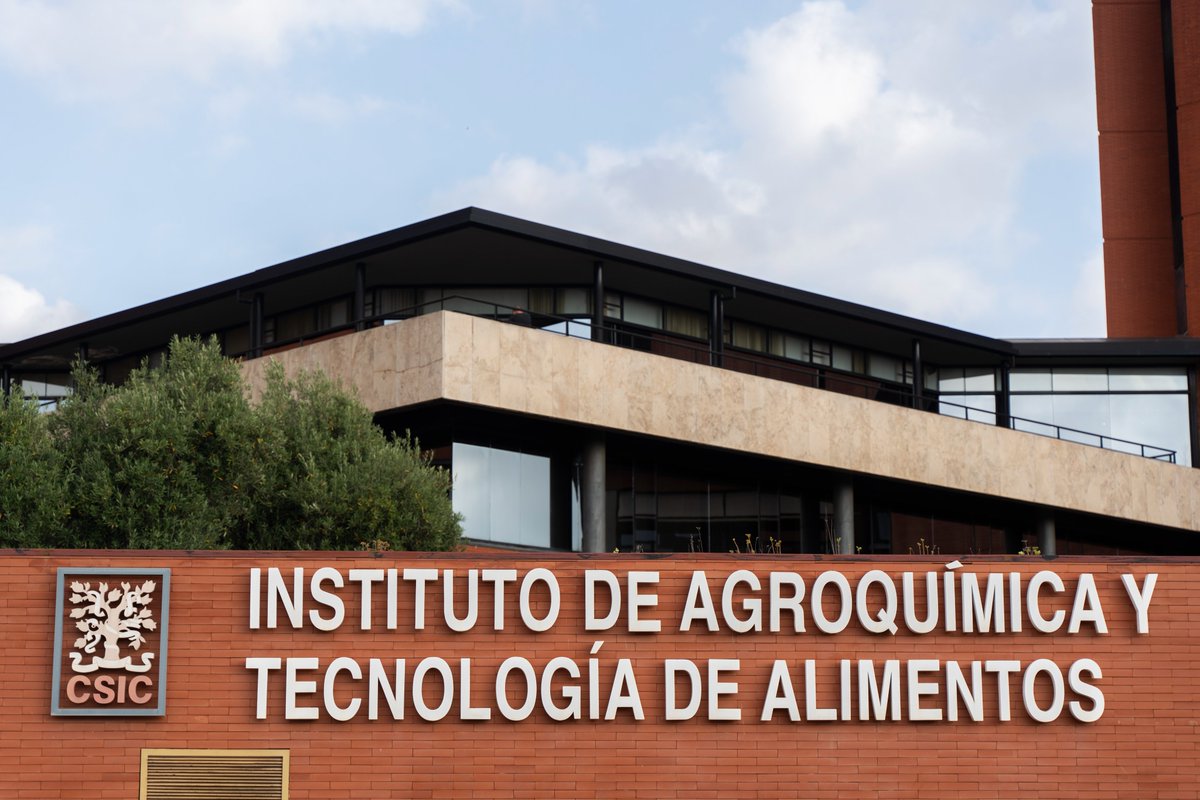 IATA CSIC tweet media