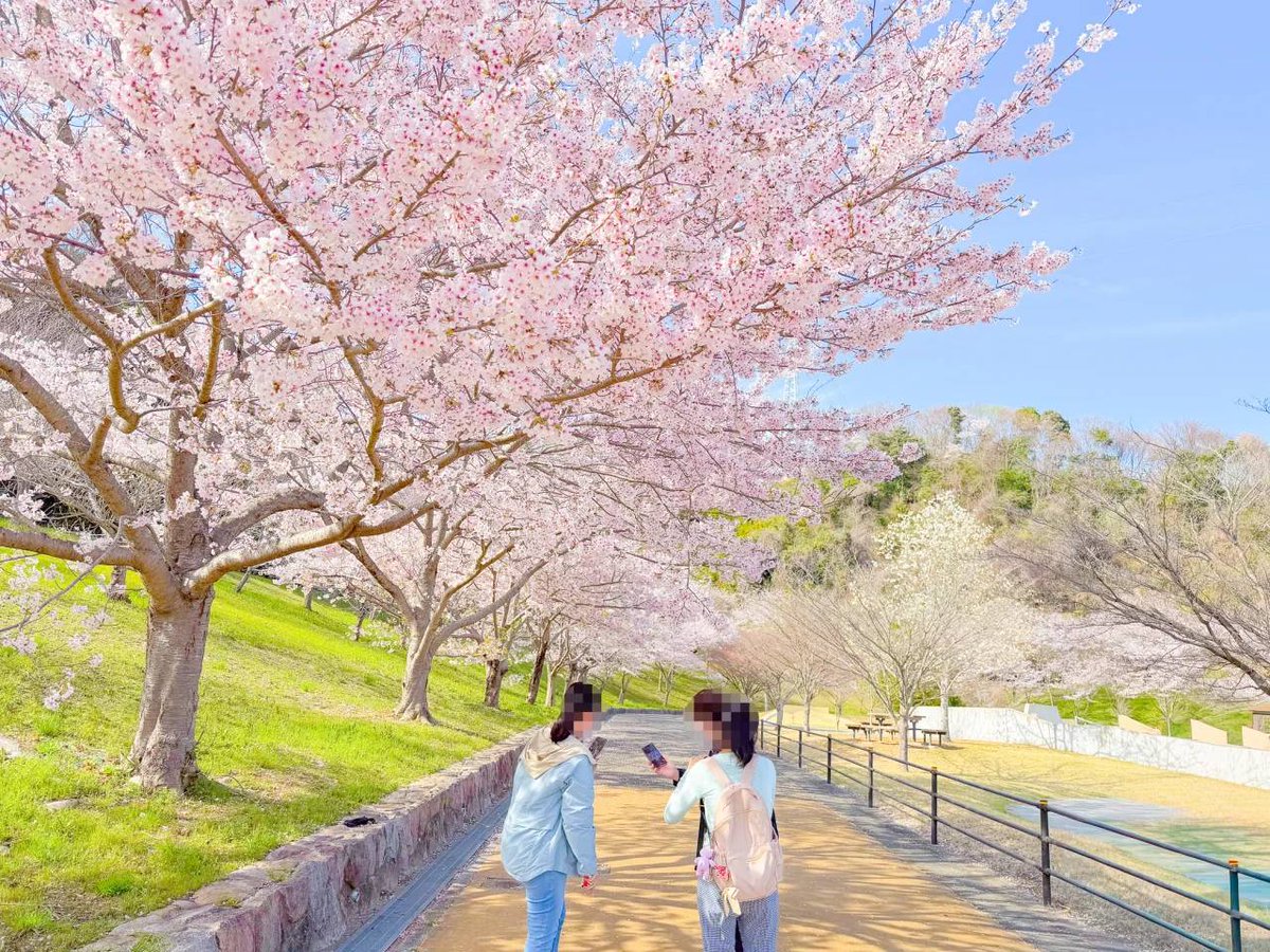 do_do_2020's tweet photo. 🌸Do3お花見IN・21世紀森公園🌸https://t.co/qsvahi4N9c https://t.co/fU6dAMViFC