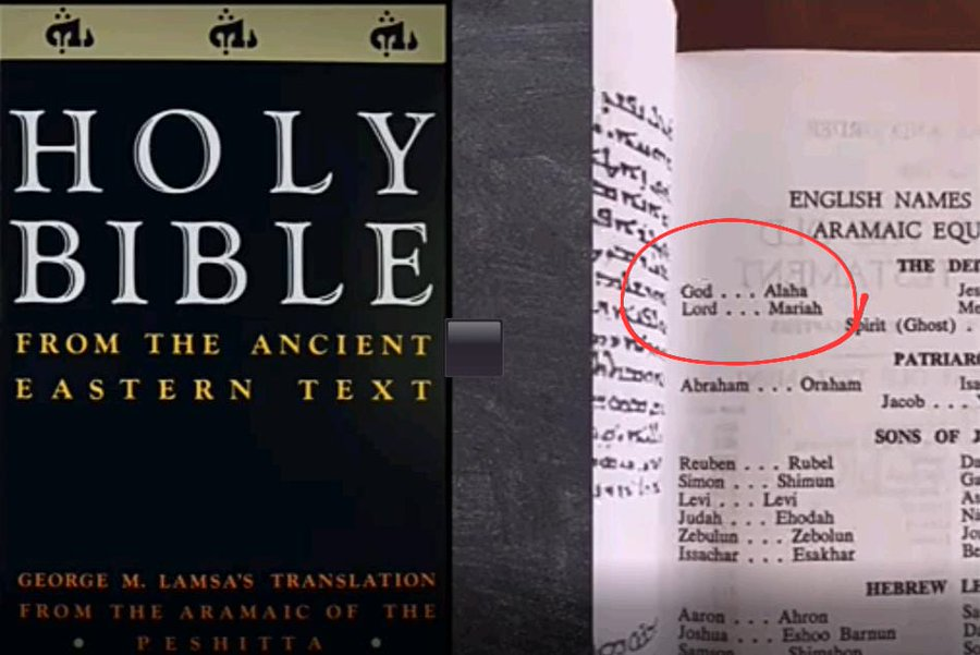 Asᴄᴇɴᴅ 🕊 tweet media