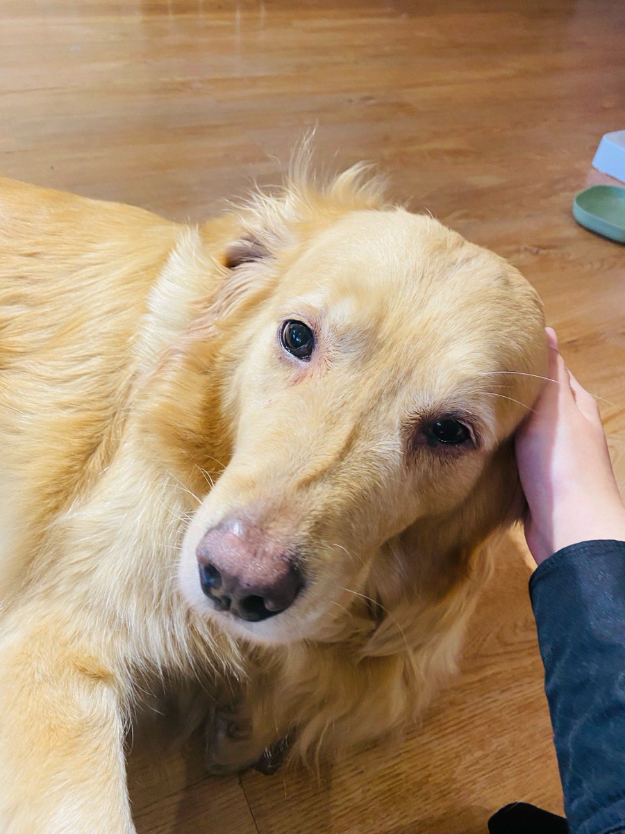 Tante Francoise tweet media