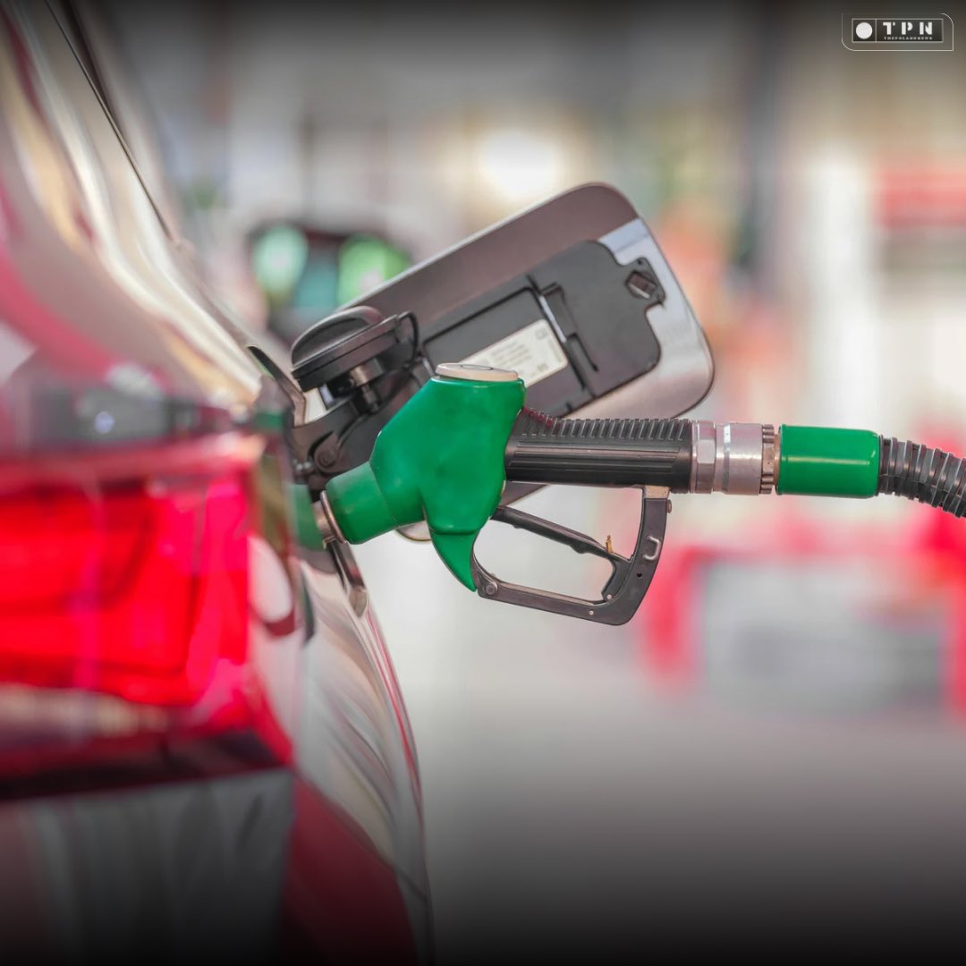 🌐 ᴛʜᴇᴘᴏʟᴀɴᴅɴᴇᴡs 🌐 tweet media