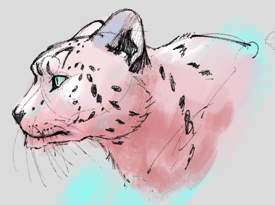 WolfTurf tweet media