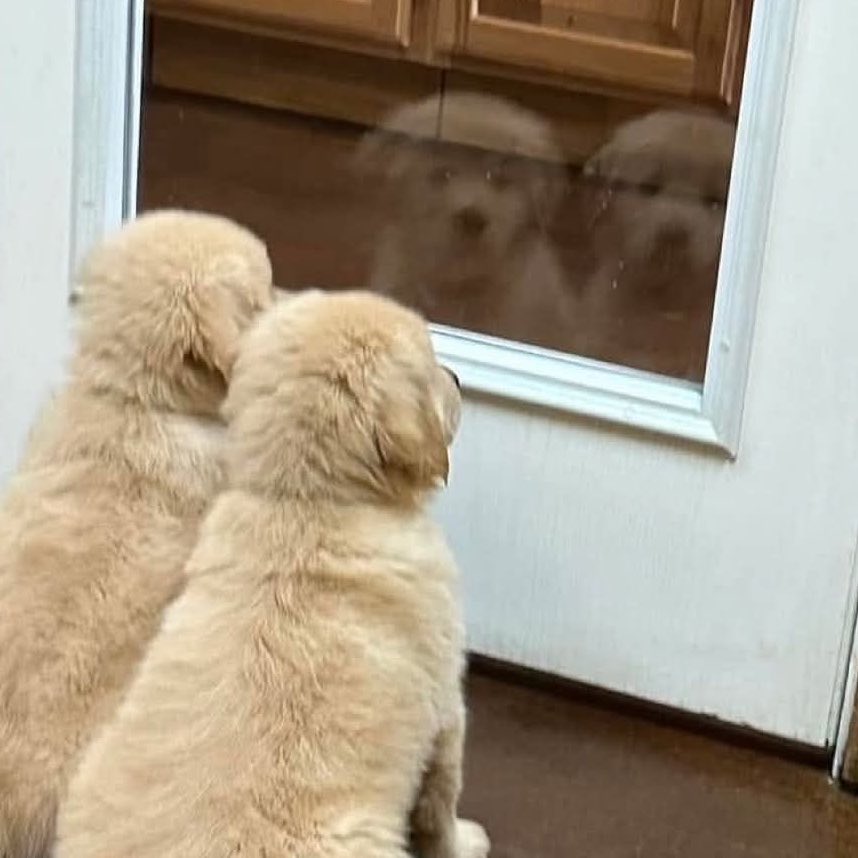 oct14ber's tweet image. : อ้วนยิ้มนะ พิ่จะถ่ายส่งให้หม่าม้า
: คัยอ้วน
: ยิ้ม เร้วๆ
: ก็ด้ะ .◜◡◝