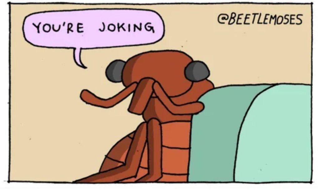 Carl Anka tweet media