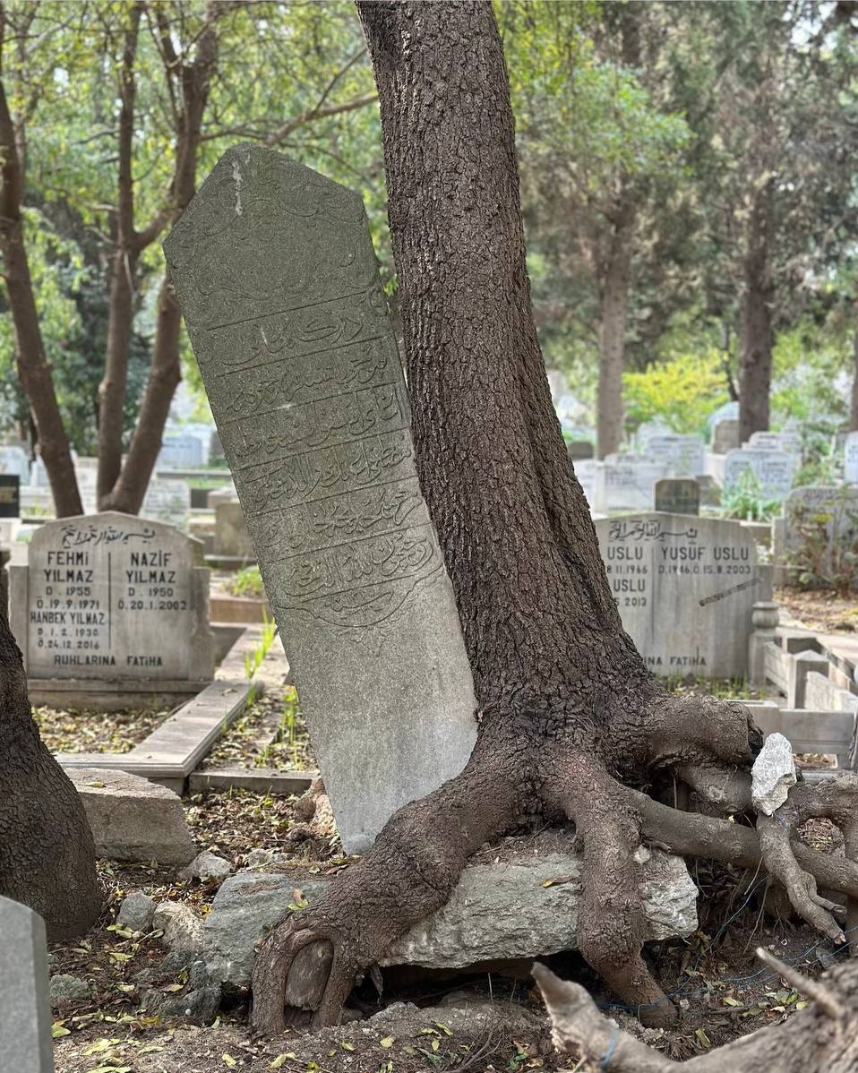 Müderrise tweet media