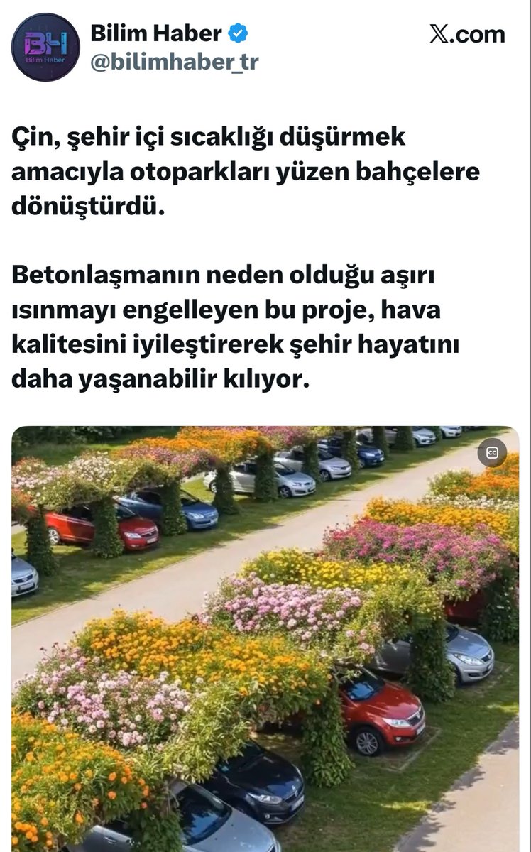 Hilmi Türkmen tweet media