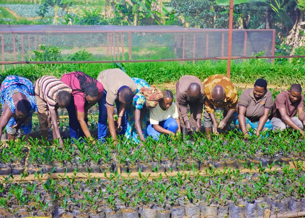 GreenGoal Hub tweet media