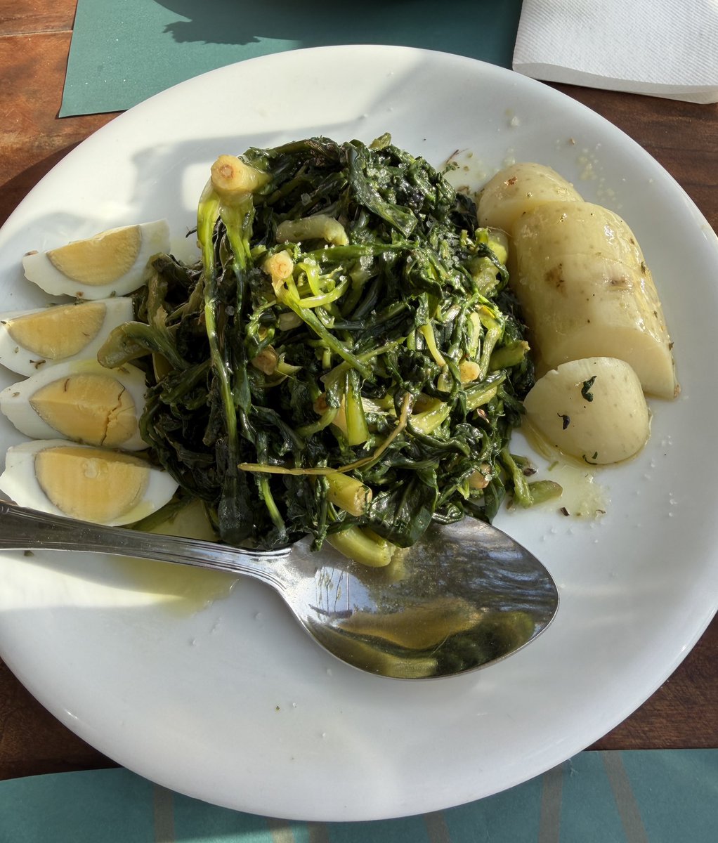 Eva Basilion tweet media