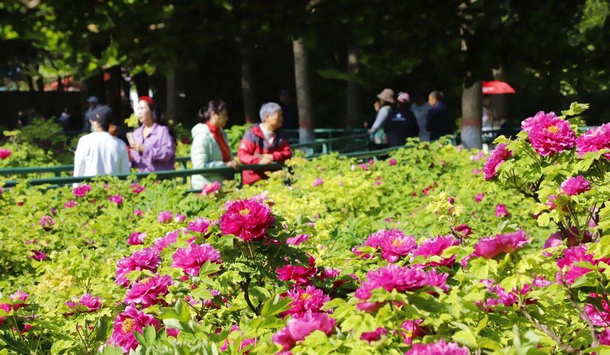 Discover Anyang tweet media