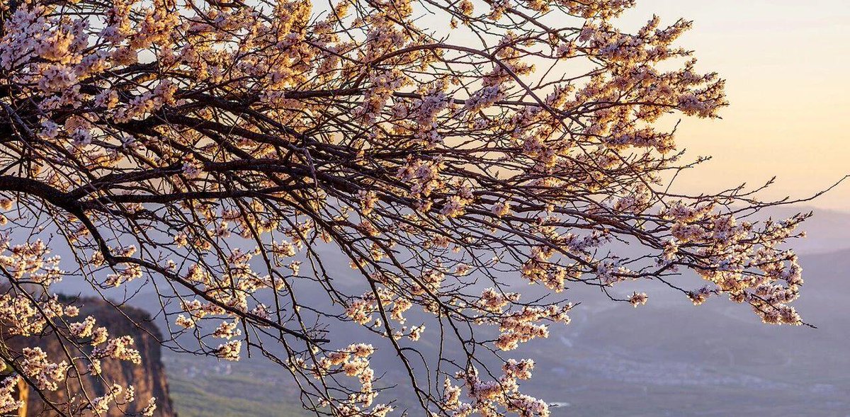 Discover Anyang tweet media