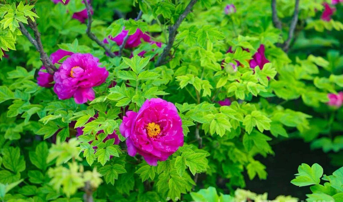 Discover Anyang tweet media