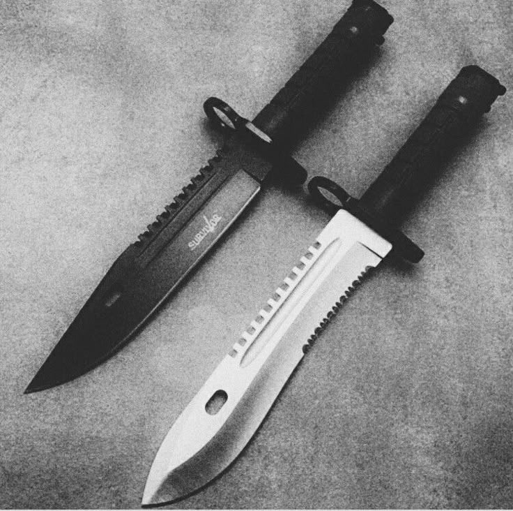 ⌖ ezra tweet media