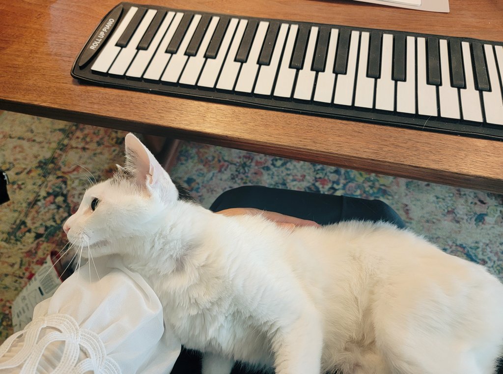 宇和川 恵美@ハリウッド式音声学ボイトレ&スマイルMFT認定トレーナー tweet media