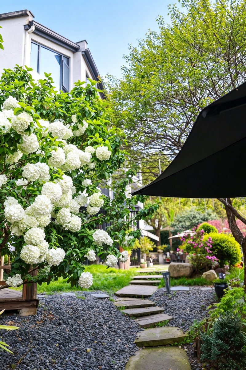 吃笋喝茶（互fo） tweet media