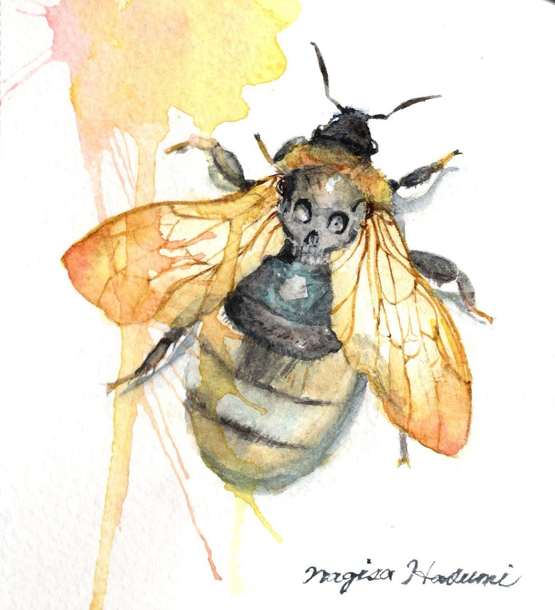 「#illustion #painting #art #イラスト #水彩 『 鉢 」|蓮実 汀彩 (3月下旬大阪出展)のイラスト
