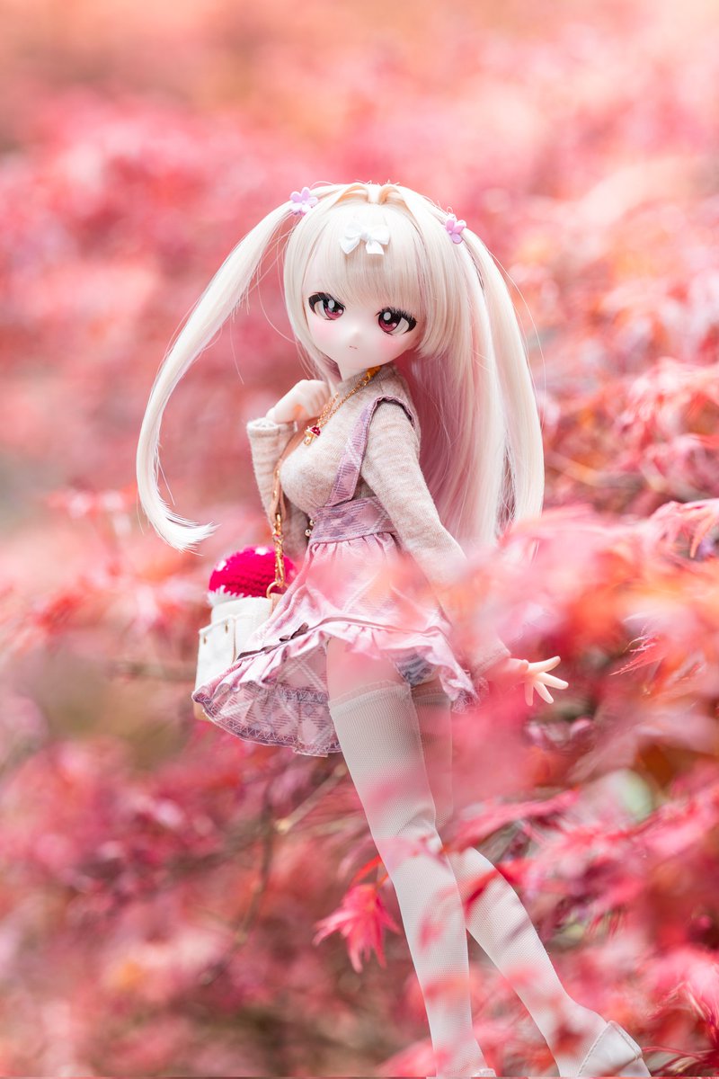 Keportkevin's tweet photo. 🍁✨️💢(｀^´)✨️🍁
ちょっとおかしいですけど、４月は台湾の紅葉季節🍁🍁

#ぽもろこ https://t.co/bLDxK0SJmb