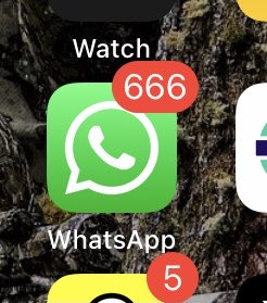 Medusa🌸 tweet media