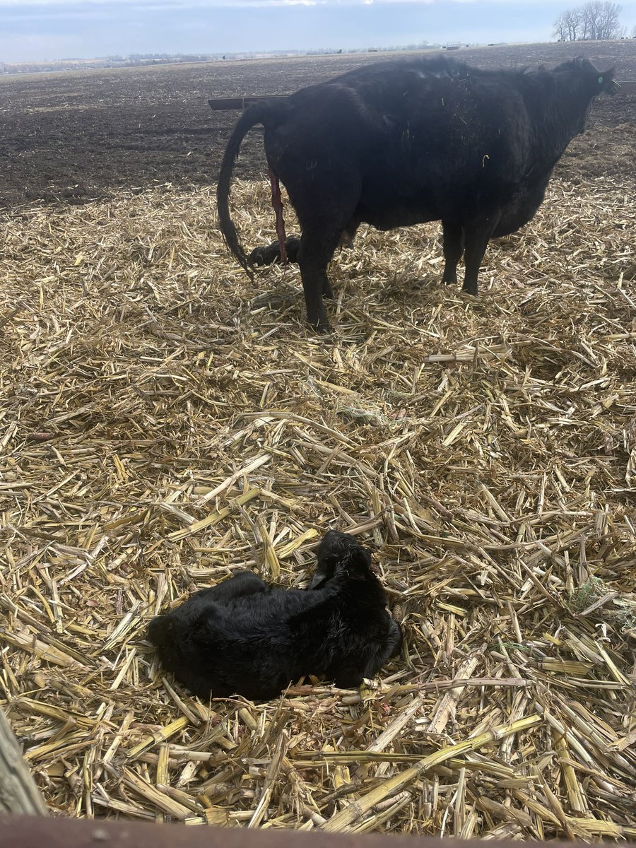 ~605~ ShittalkerFFS tweet media