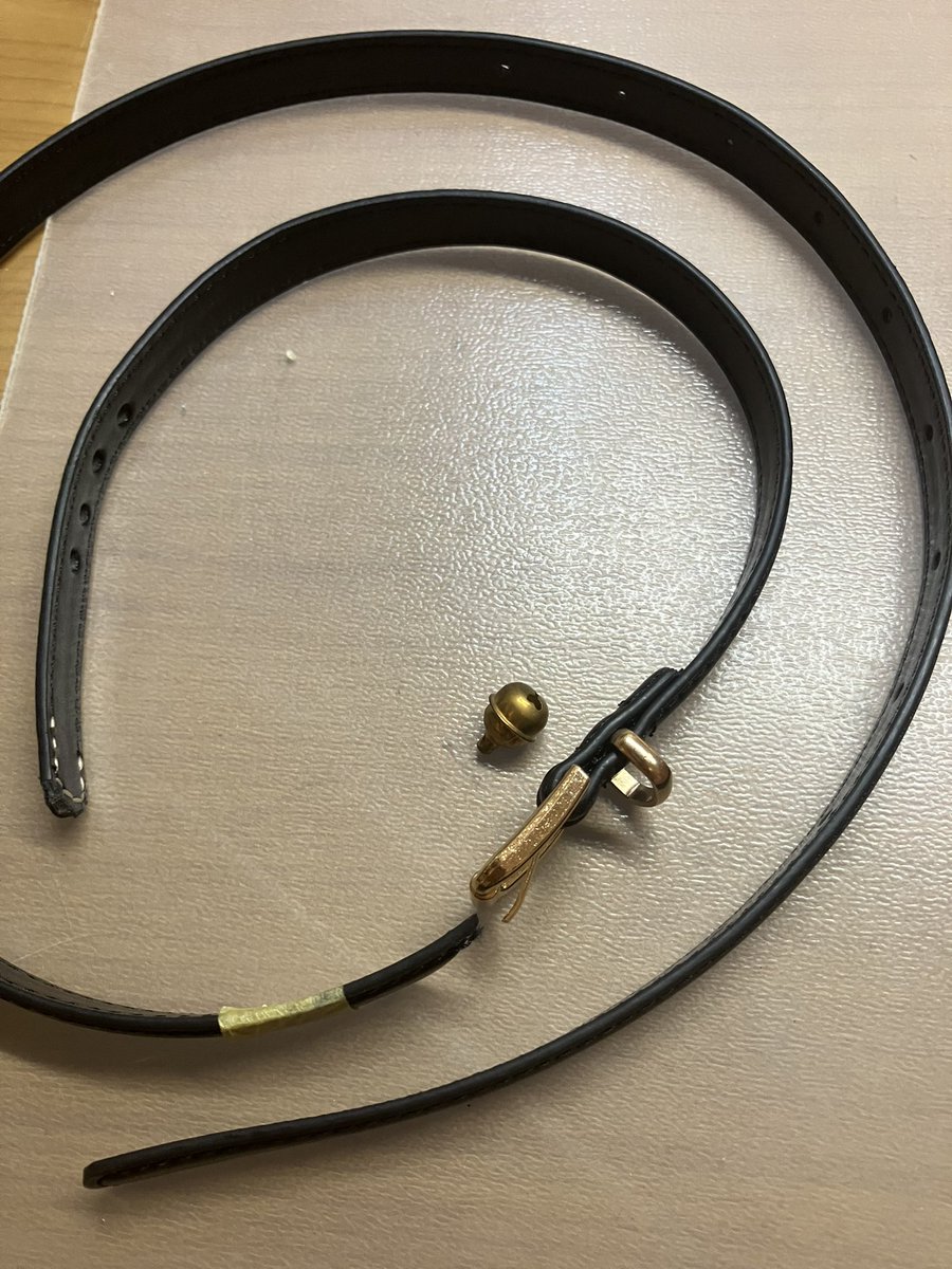 ukulele88's tweet photo. 9歳のプレゼントにニュー首輪😃(100均ベルト加工だけど) https://t.co/tL01g5H9At